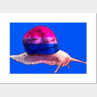 Bisexual Snail Posters and Art